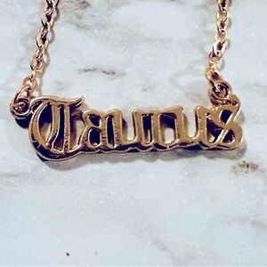 Taurus necklace
